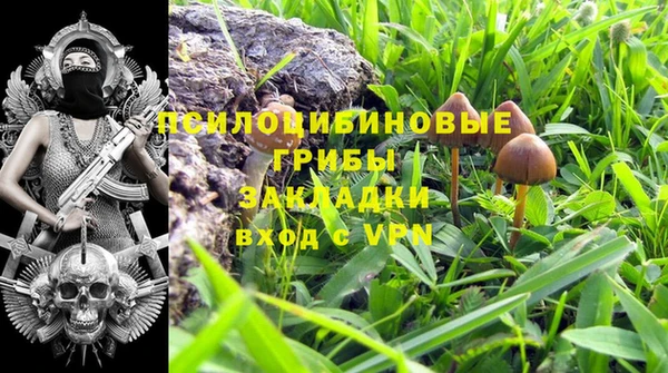 прущие крисы Богородицк