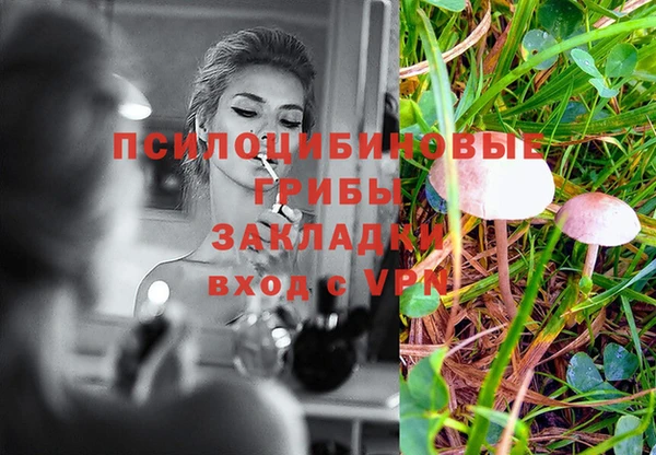 прущие крисы Богородицк