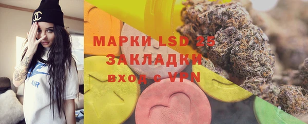 mdpv Богородск