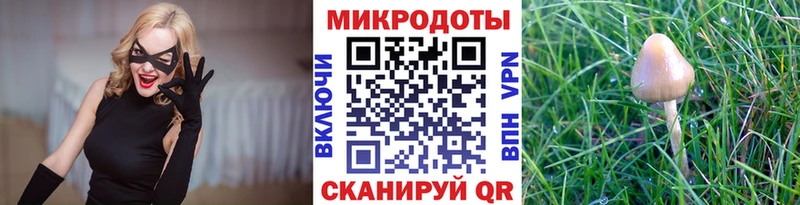 Купить где  Городец  Галлюциногенные грибы ЛСД 